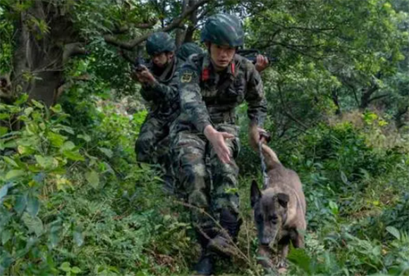 威猛帅气!军犬的训练日常就是这么酷 威猛帅气!军犬的训练日常就是这么酷