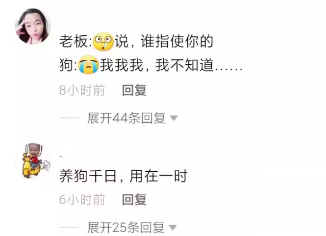 神操作!广东男子让狗钻进娃娃机抓公仔,“手上拿着一堆战利品” 神操作!广东男子让狗钻进娃娃机抓公仔,“手上拿着一堆战利品”