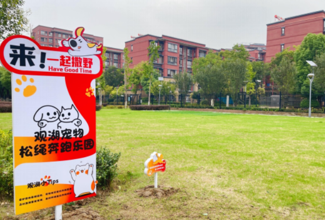无锡新安：创新打造宠物奔跑松绳奔跑乐园