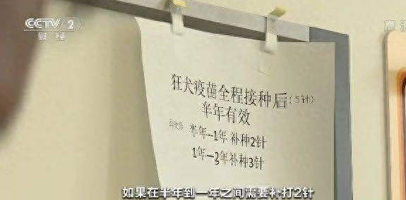 警方:肇事疯狗,已当场击毙!发病致死率近乎100%…… 警方:肇事疯狗,已当场击毙!发病致死率近乎100%……