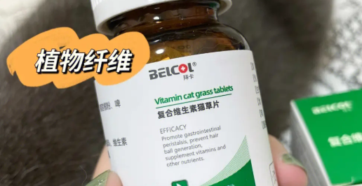 本文带你解答，拜卡怎么样？