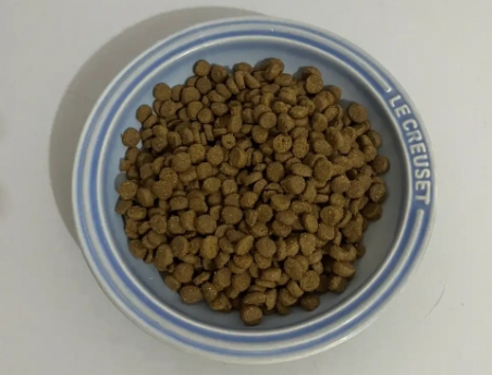 如何评价泰安泰宠的猫粮质量