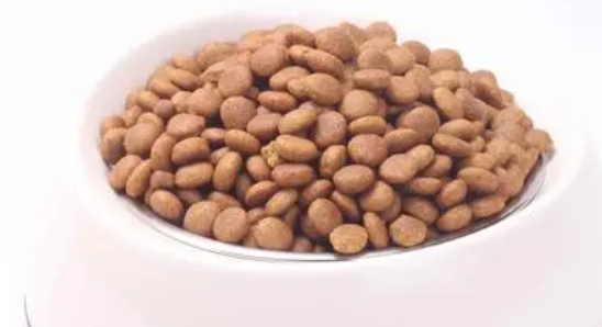 摩森猫粮质量如何? 摩森猫粮质量如何?