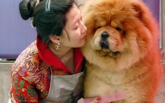 江苏松狮犬撕咬女子事件：狗是正当防卫？真把狗当人看