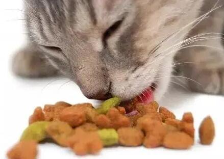 好侣猫粮价格 好侣猫粮价格