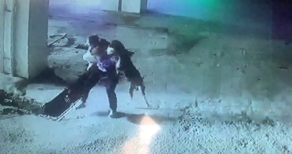 小区地库散养恶犬扑向1岁半幼童，老人护娃被咬