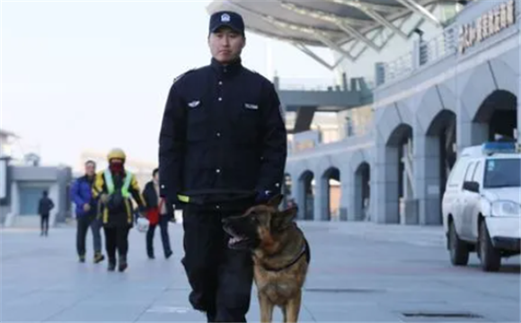 长春警犬“石榴”退役 在岗11年多次立功