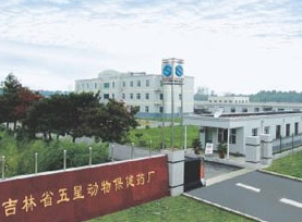 五星动物保健好嘛 五星动物保健好嘛