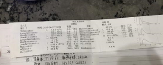 扎心！1500元买了只“星期狗” 宠物店：只换不退