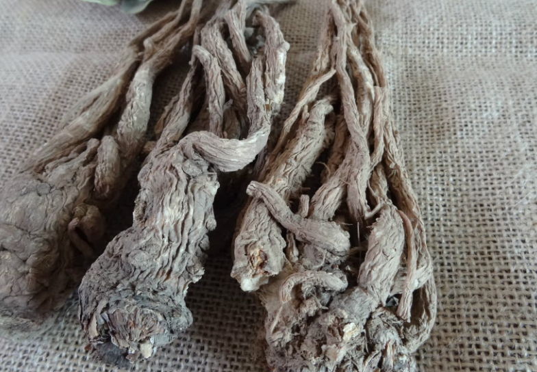 当归尾的功效与作用 当归尾的功效与作用