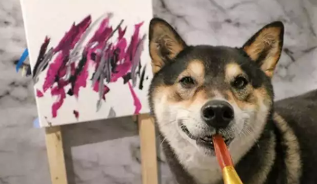 柴犬靠“卖画”为生，为主人赚了3万多，连狗都比我有才华