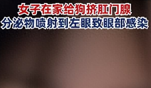宠物狗分泌物致女子眼睛感染，医生惊呼史无前例！