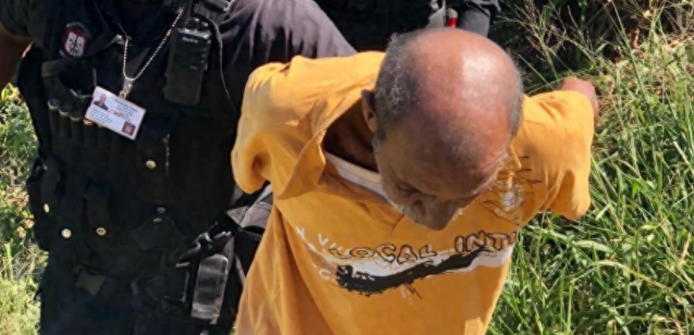 南非男子因强奸邻居宠物猫遭逮捕，事发前还多次强奸过狗！