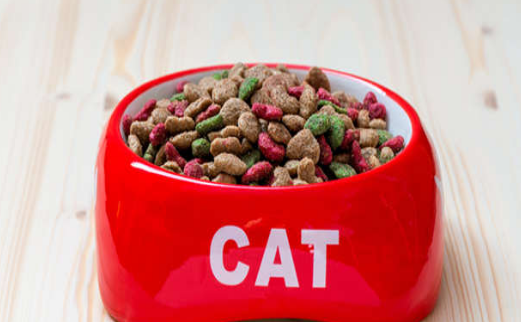 斯可可猫的食物禁忌 斯可可猫喂食要求