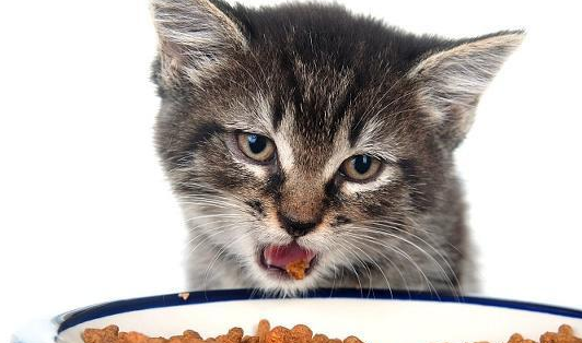 辽宁米澳宠物食品质量过关吗? 辽宁米澳宠物食品质量过关吗?