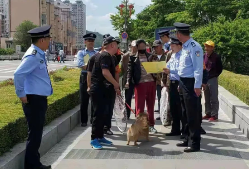 今年已接到涉犬报警四百多起,公安机关立即开始整治违规养犬