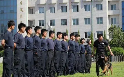 缉毒犬是怎样成功“考编”的?过程太励志! 缉毒犬是怎样成功“考编”的?过程太励志!
