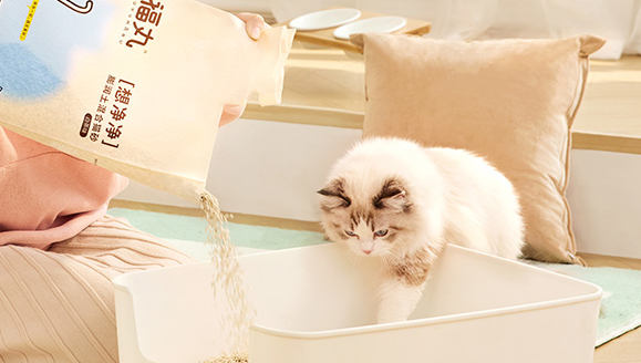 福丸猫砂——助力猫咪成长 福丸猫砂——助力猫咪成长
