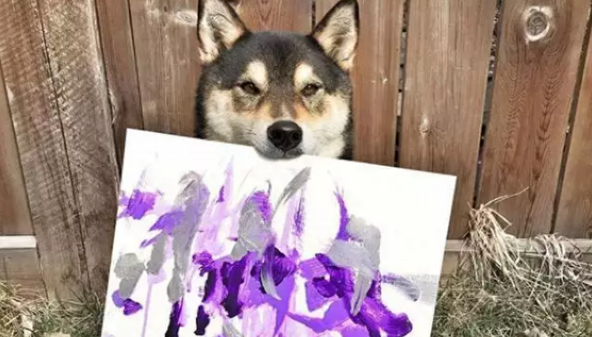 柴犬靠“卖画”为生，为主人赚了3万多，连狗都比我有才华