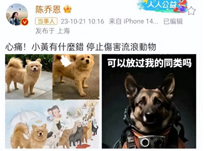 陈乔恩杨迪等人为流浪狗发声惹争议！网友：被咬的小女孩有错吗