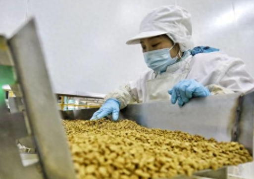 山东小镇萌宠口粮销四方 “宠物经济”催生新产业链
