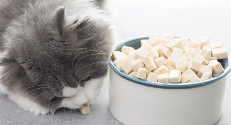 心然猫零食：多样化的选择，满足您的宠物猫