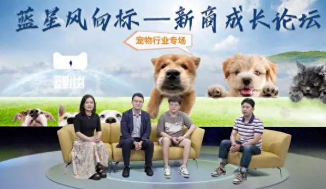 宠物经济来到第三阶段,商家如何跟上经营节奏 宠物经济来到第三阶段,商家如何跟上经营节奏