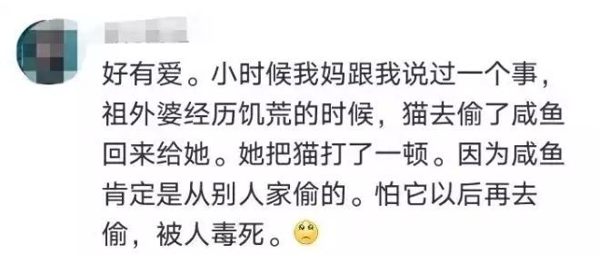 小猫咪真的会报恩！上海浦西一小哥被困工厂，流浪猫送上整条鱼