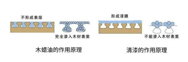 治愈之道 自然引领 | 感受福丸自然舒适的生活哲学