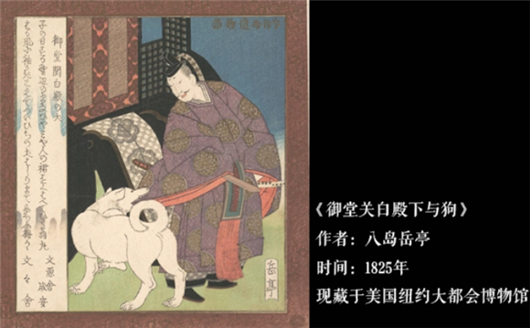 日本文学中的“犬”：猫狗对峙，受伤的总是狗？