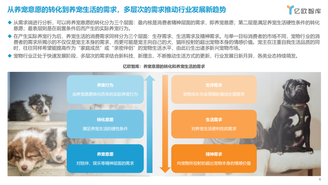 宠物行业的底层逻辑 宠物行业的底层逻辑