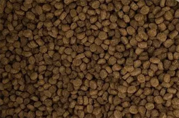 鲜出格猫粮可靠吗?这篇文章有答案! 鲜出格猫粮可靠吗?这篇文章有答案!
