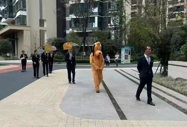 十堰恒大物业对遛狗不牵绳展开宣传和整治,抓捕流浪狗 十堰恒大物业对遛狗不牵绳展开宣传和整治,抓捕流浪狗