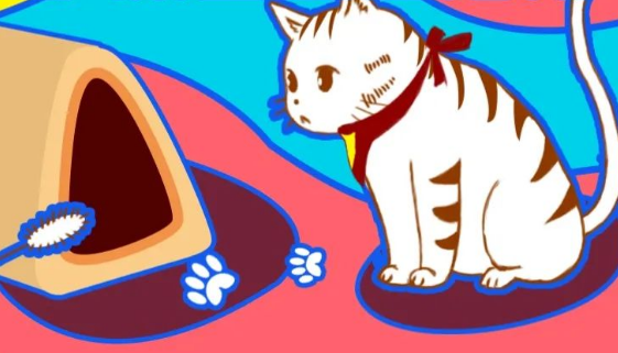 女研究生养猫反向将自己关进笼子:为了给猫咪更大的活动空间_宠界新闻