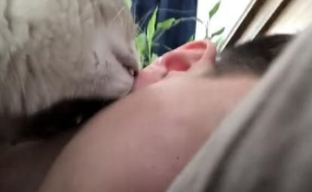 小伙躺床上玩手机，突然感到脸疼，下一秒猫咪举动令他不知所措！