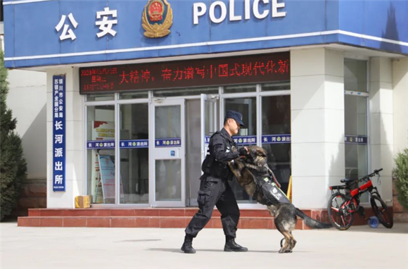警营故事 | 我的警犬兄弟“巴依” 警营故事 | 我的警犬兄弟“巴依”