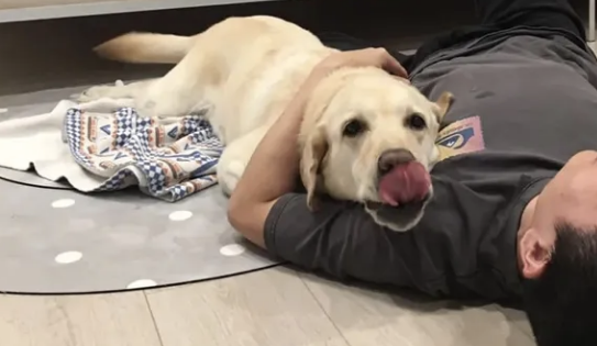 过安检被警犬狂吠,警察迅速围上来 过安检被警犬狂吠,警察迅速围上来