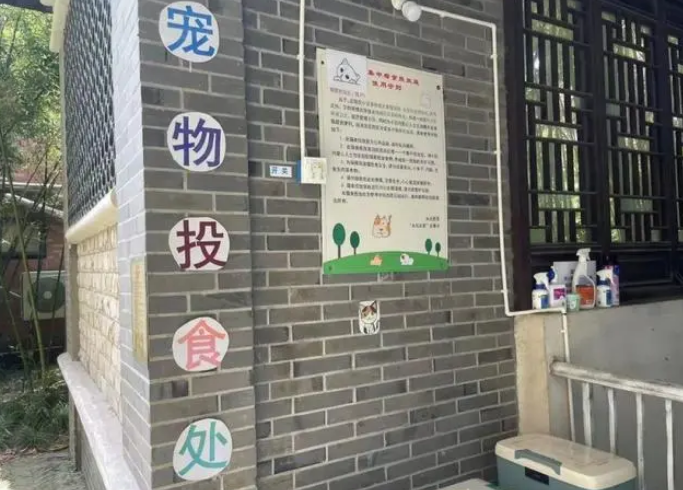 “智能猫屋”引争议,“数字化管理流浪猫”噱头大于实质? “智能猫屋”引争议,“数字化管理流浪猫”噱头大于实质?