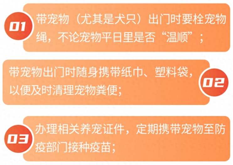 宠物狗突然蹿出致路人摔伤,宝山法院这样判决 宠物狗突然蹿出致路人摔伤,宝山法院这样判决