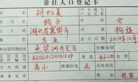 父亲将家中可爱的宠物狗写在了户口本上，父爱与法律之间的冲突