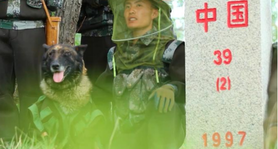 服役8年的军犬退役了!看到泪目…… 服役8年的军犬退役了!看到泪目……