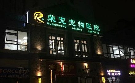 荣宠宠物医院可以做绝育吗 荣宠宠物医院可以做绝育吗