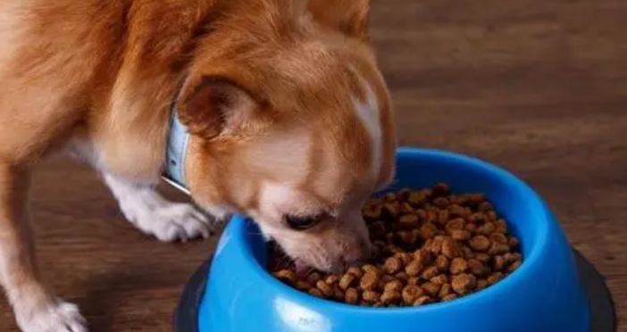 中源宠物食品能买吗 中源宠物食品能买吗