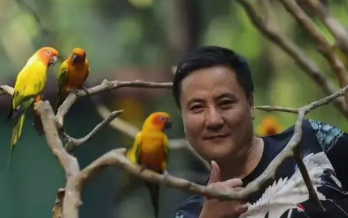 艾雅康是什么家族