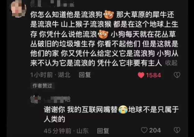 我为流浪狗发声!抵制大规模捕杀流浪狗! 我为流浪狗发声!抵制大规模捕杀流浪狗!
