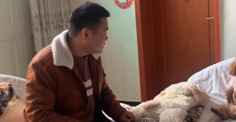 泰迪抓沙发被男主教育，坐在沙发上一动不动，跟个小人似的