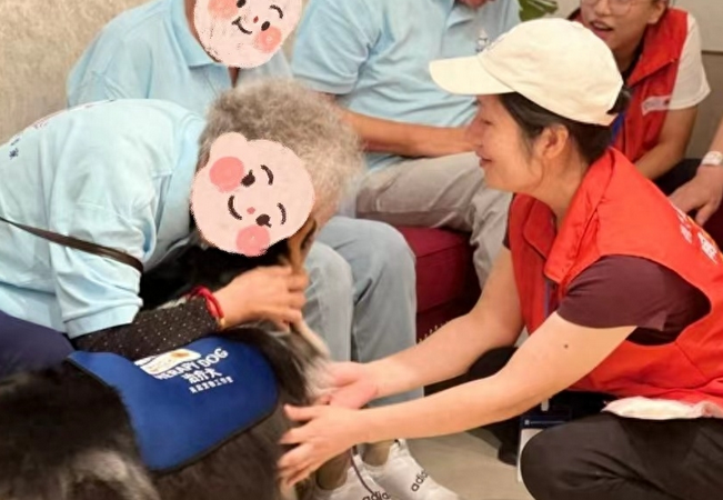 “宠物辅助治疗”走入阿尔茨海默病患者身边，“毛孩子”升级“治疗犬”