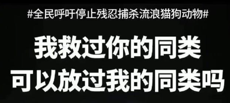 众星为流浪狗发声，被扒说一套做一套，2 岁被咬女童近况曝光！