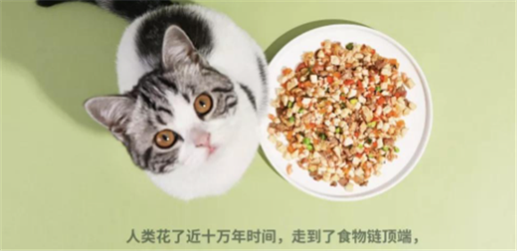 食物链宠物鲜食质量如何,速来了解一波吧~ 食物链宠物鲜食质量如何,速来了解一波吧~