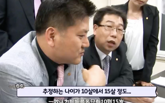 自家狗子36岁遭全网质疑，结果一调查…